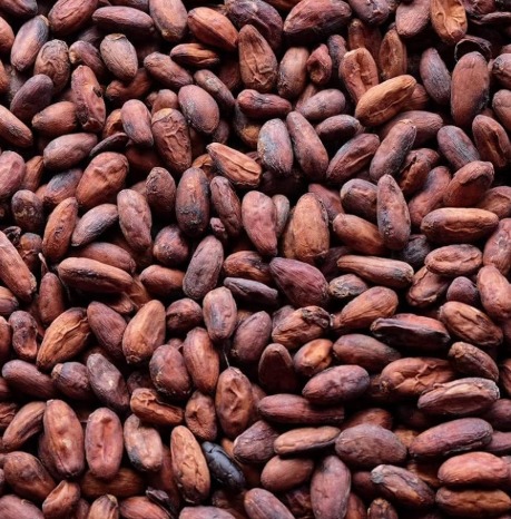 Cocoa Beans